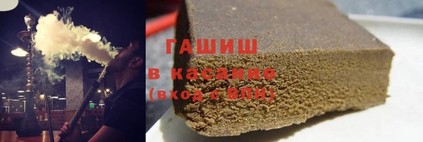 гашик Алексин