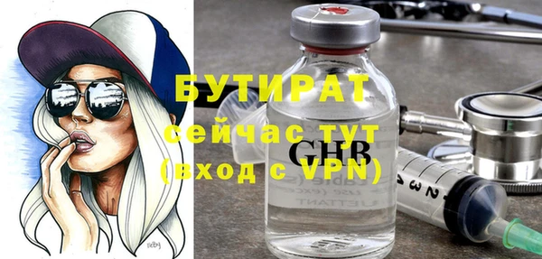 гашик Алексин