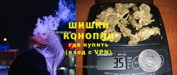 гашик Алексин