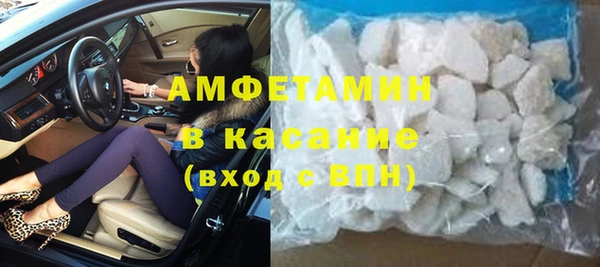 гашик Алексин