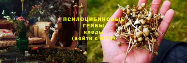 гашик Алексин