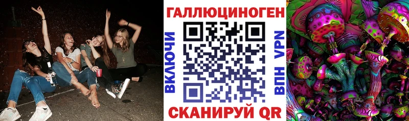 дарнет шоп  Апшеронск  блэк спрут tor  Псилоцибиновые грибы Cubensis 